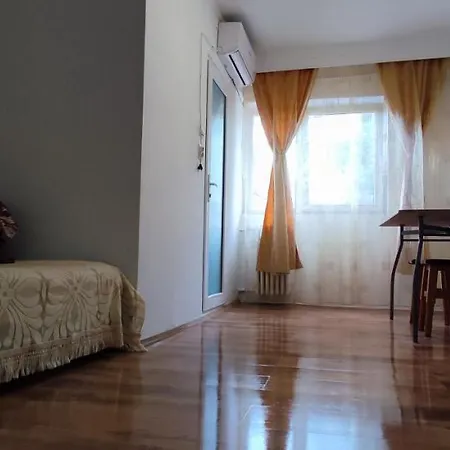 Garsoniera In Regim Hotelier Apartment *